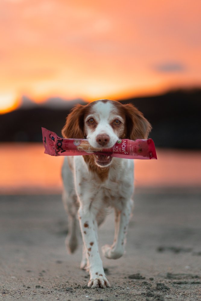 Woolf Earth Noohide – Sticks