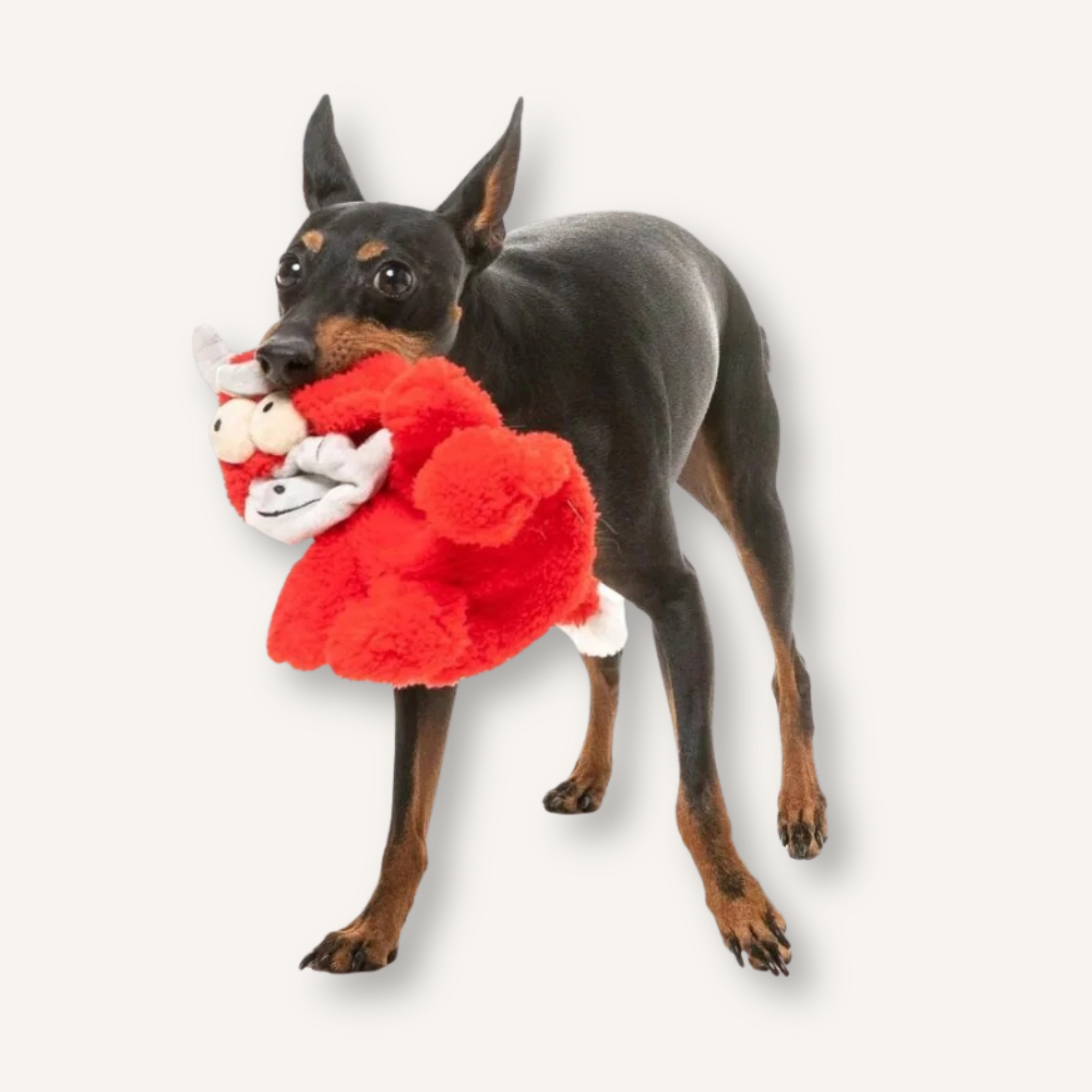 FuzzYard hondenspeelgoed Jordan The Bull