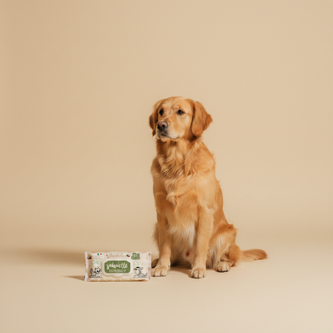 Ferribiella Wet Wipes Coconut-Cotton (40 stuks) — lifestyle met hond | The Snuffle Studio