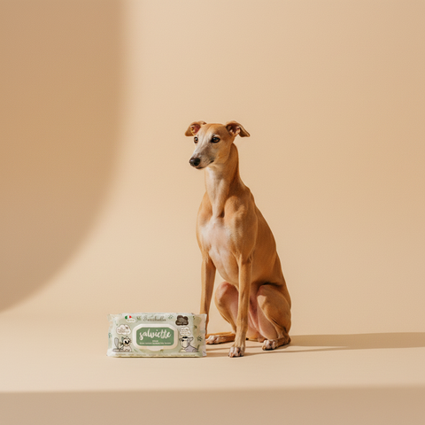 Ferribiella Wet Wipes Herbal (40 stuks) — lifestyle met hond | The Snuffle Studio