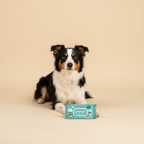 Ferribiella Wet Wipes Milleusi (40 stuks) — lifestyle met hond | The Snuffle Studio