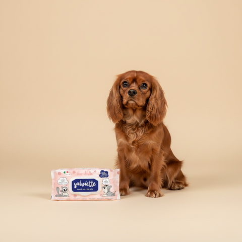 Ferribiella Wet Wipes Rose Water (40 stuks) — lifestyle met hond | The Snuffle Studio