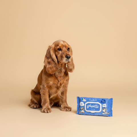 Ferribiella Wet Wipes Talc (40 stuks) — lifestyle met hond | The Snuffle Studio