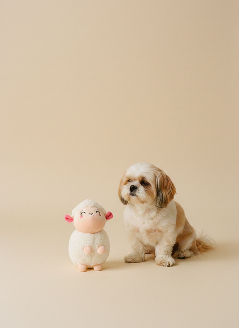 FuzzYard Pascua - Bahh-bara — lifestyle met hond | The Snuffle Studio