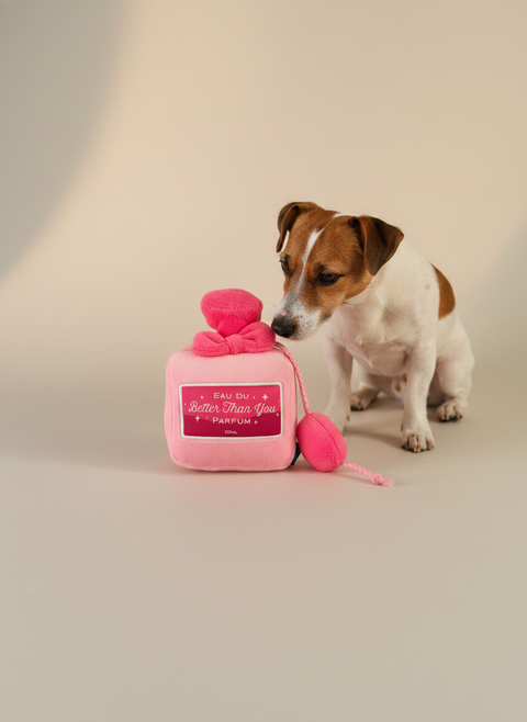 FuzzYard Y2K Slumber Party - Better Than You Parfum — lifestyle met hond | The Snuffle Studio