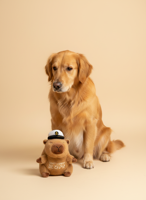 FuzzYard Happybaras - Capy-Tain — lifestyle met hond | The Snuffle Studio