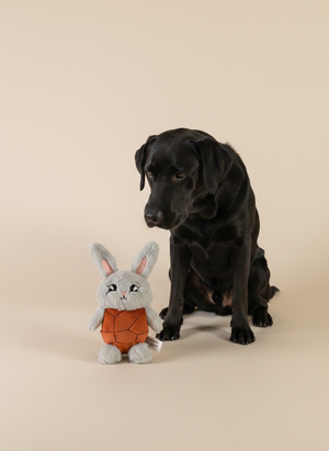 FuzzYard Pascua · Choc Belly Bunny