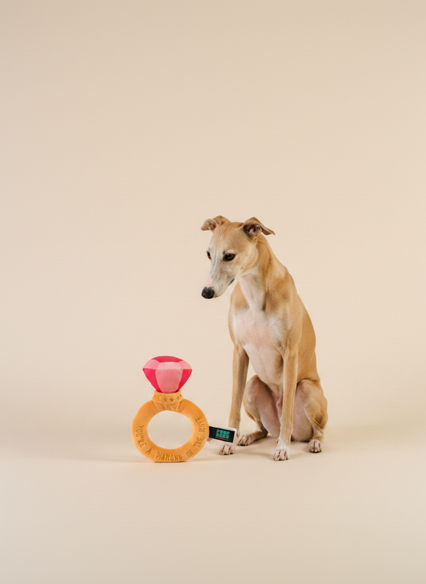 FuzzYard Love Collection · Diamond In The Ruff Ring
