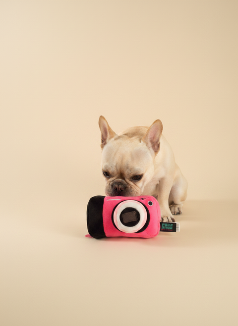 FuzzYard Y2K Slumber Party - Digicam — lifestyle met hond | The Snuffle Studio