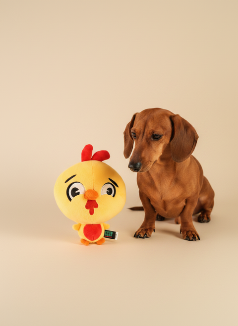 FuzzYard Noggins - Hen Diesel — lifestyle met hond | The Snuffle Studio