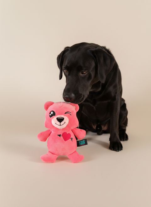 FuzzYard Love Collection - Nothing Butt Love Bear — lifestyle met hond | The Snuffle Studio