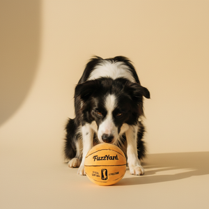 FuzzYard Basketball