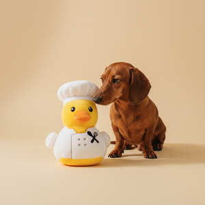 FuzzYard Quackson Five · Duck Gordon Quacksay