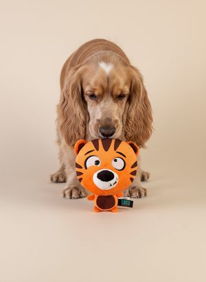 FuzzYard Noggins · Roarnaldo