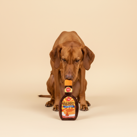 FuzzYard Toy - Holland - Pupcake Stroop — lifestyle met hond | The Snuffle Studio