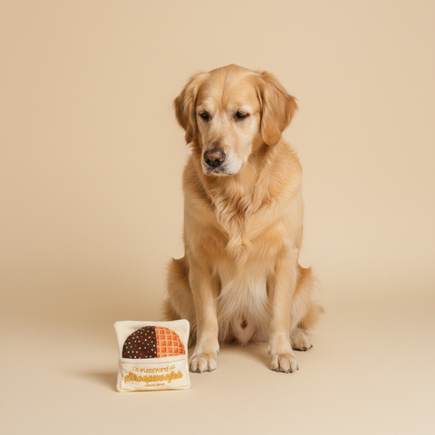 FuzzYard Toy - Holland - Stroopwoofels — lifestyle met hond | The Snuffle Studio