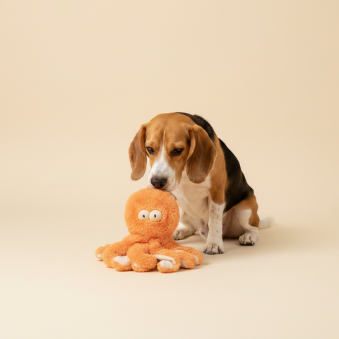 FuzzYard Toy - Nasties Flat out - Sir Legs A Lot The Octopus — lifestyle met hond | The Snuffle Studio