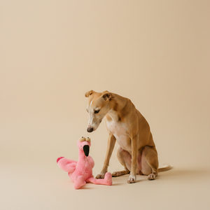 FuzzYard Nasties · Flo