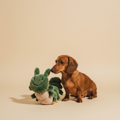 Stuffed Caterpillar – Knuffel – Ferribiella — lifestyle met hond | The Snuffle Studio