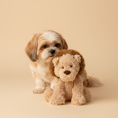 Stuffed Lion – Knuffel – Ferribiella — lifestyle met hond | The Snuffle Studio