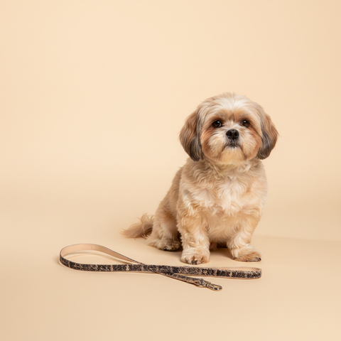 Ferribiella Mokka · Lijn Pied-de-Poule — lifestyle met hond | The Snuffle Studio