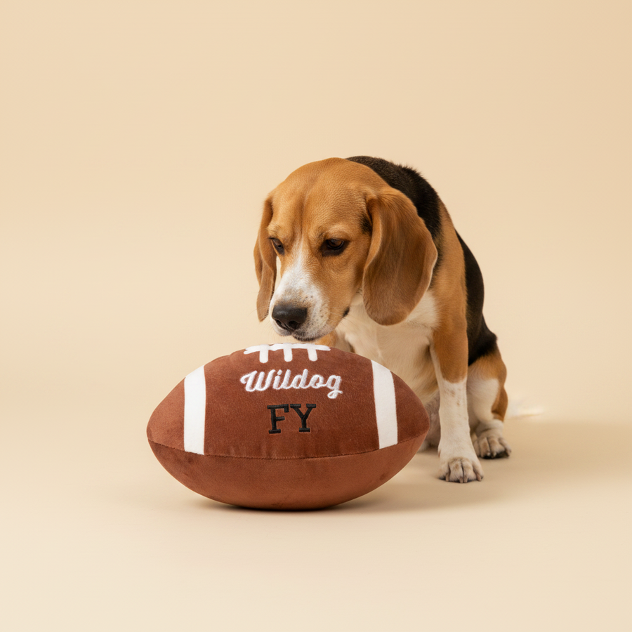 FuzzYard Plus Toy Wildog Footbal — lifestyle met hond | The Snuffle Studio