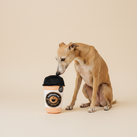 FuzzYard Plush Toy - Barkrista Puppuccino — lifestyle met hond | The Snuffle Studio