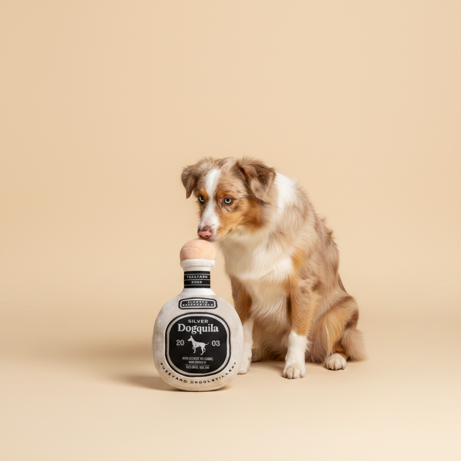 FuzzYard Plush Toy - Dogquila — lifestyle met hond | The Snuffle Studio