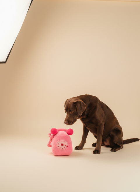 FuzzYard Y2K Slumber Party - Hang Up Landline — lifestyle met hond | The Snuffle Studio