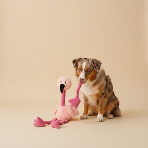 Ferribiella · Stuffed Flamingo