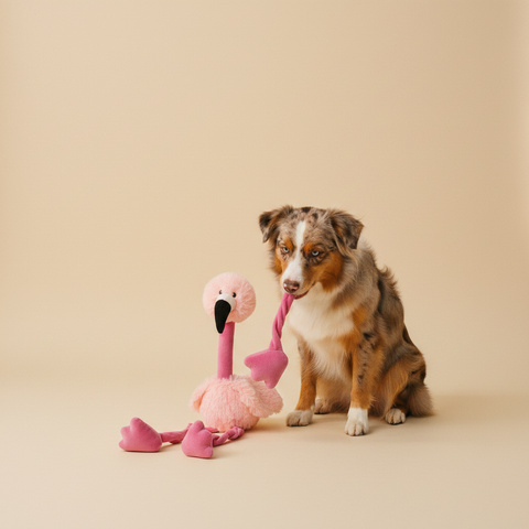 Stuffed Flamingo – Knuffel – Ferribiella — lifestyle met hond | The Snuffle Studio
