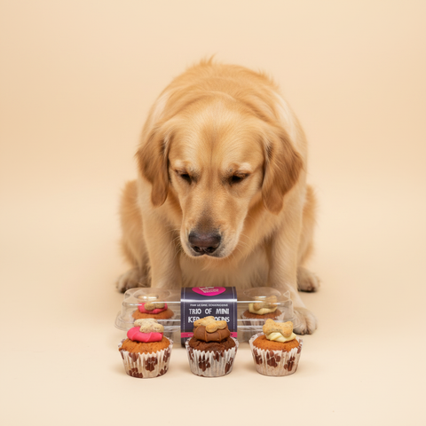 The Barking Bakery Mini Iced Trios
