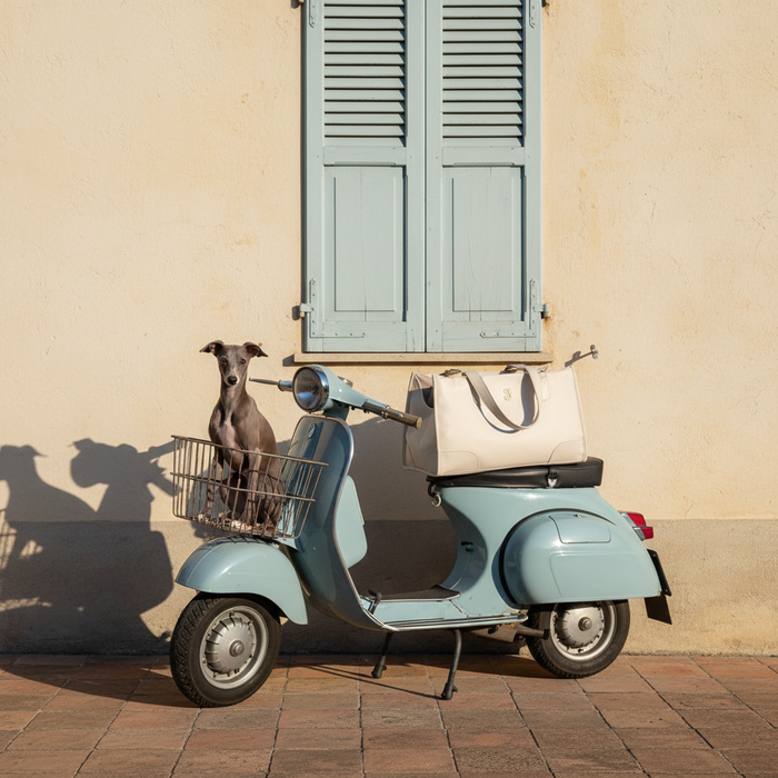 Italian greyhound in vespa-mandje — Italiaanse zomer