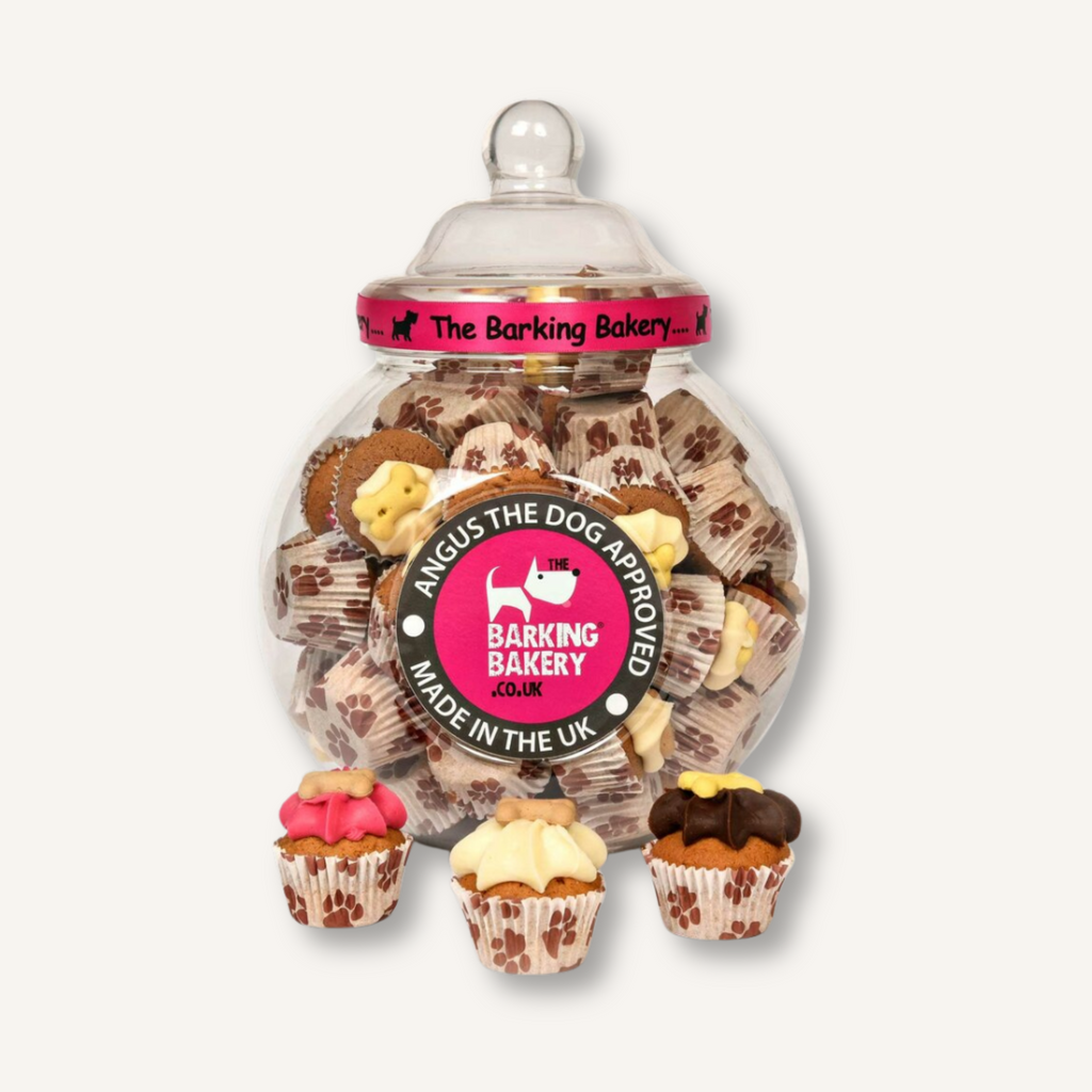 The Barking Bakery Mini Iced Woofin