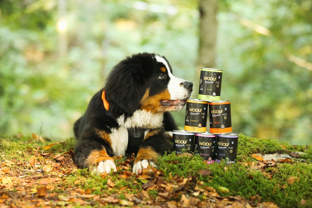 Woolf Ultimate Canned – Natvoer voor Honden