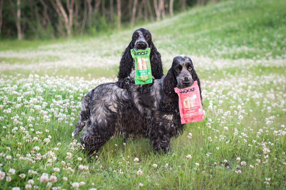 Woolf Earth Noohide – Sticks