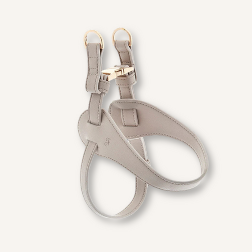 Ferribiella honden harnas Mokka Ghiaccio