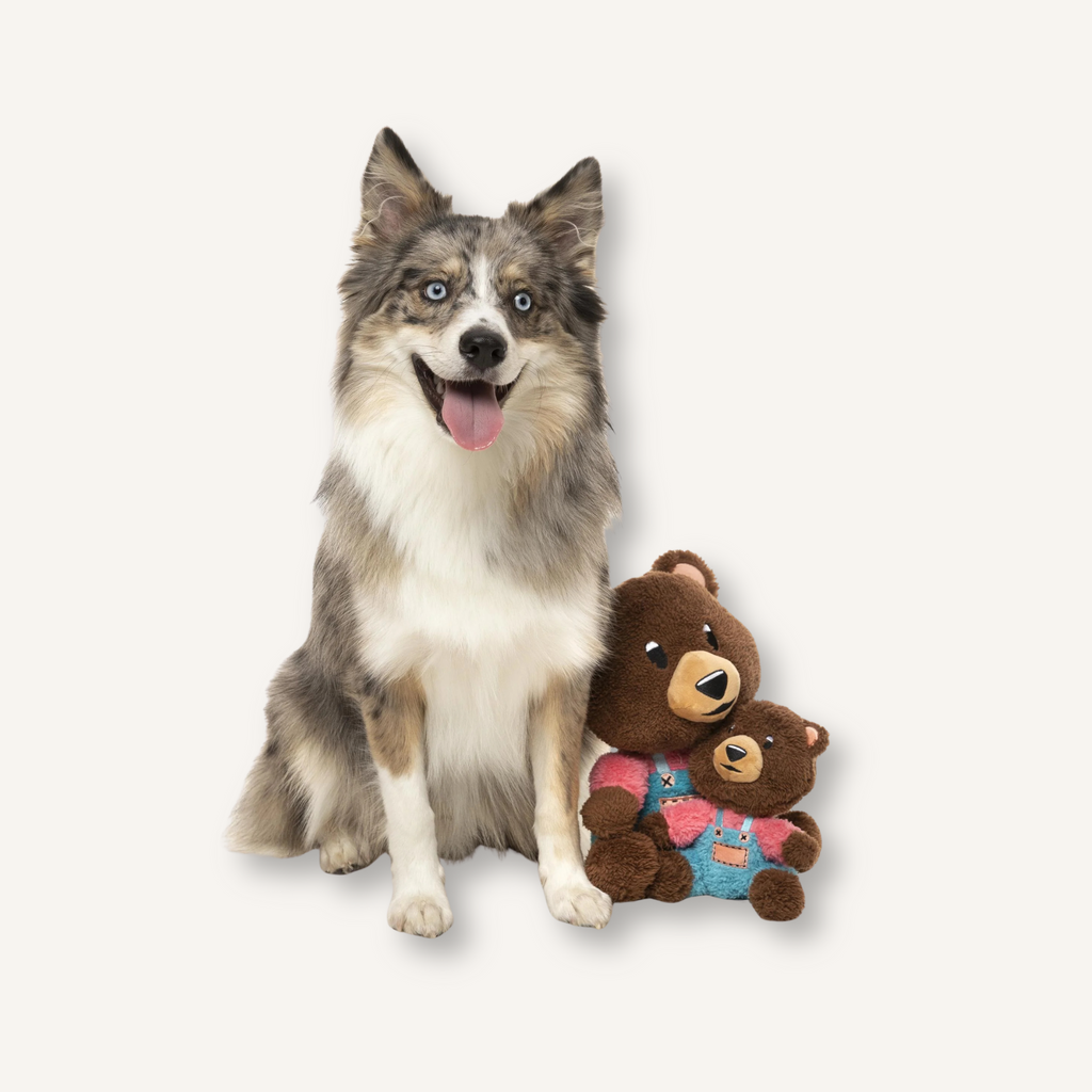 FuzzYard Fuzz Bear hondenknuffel Beer