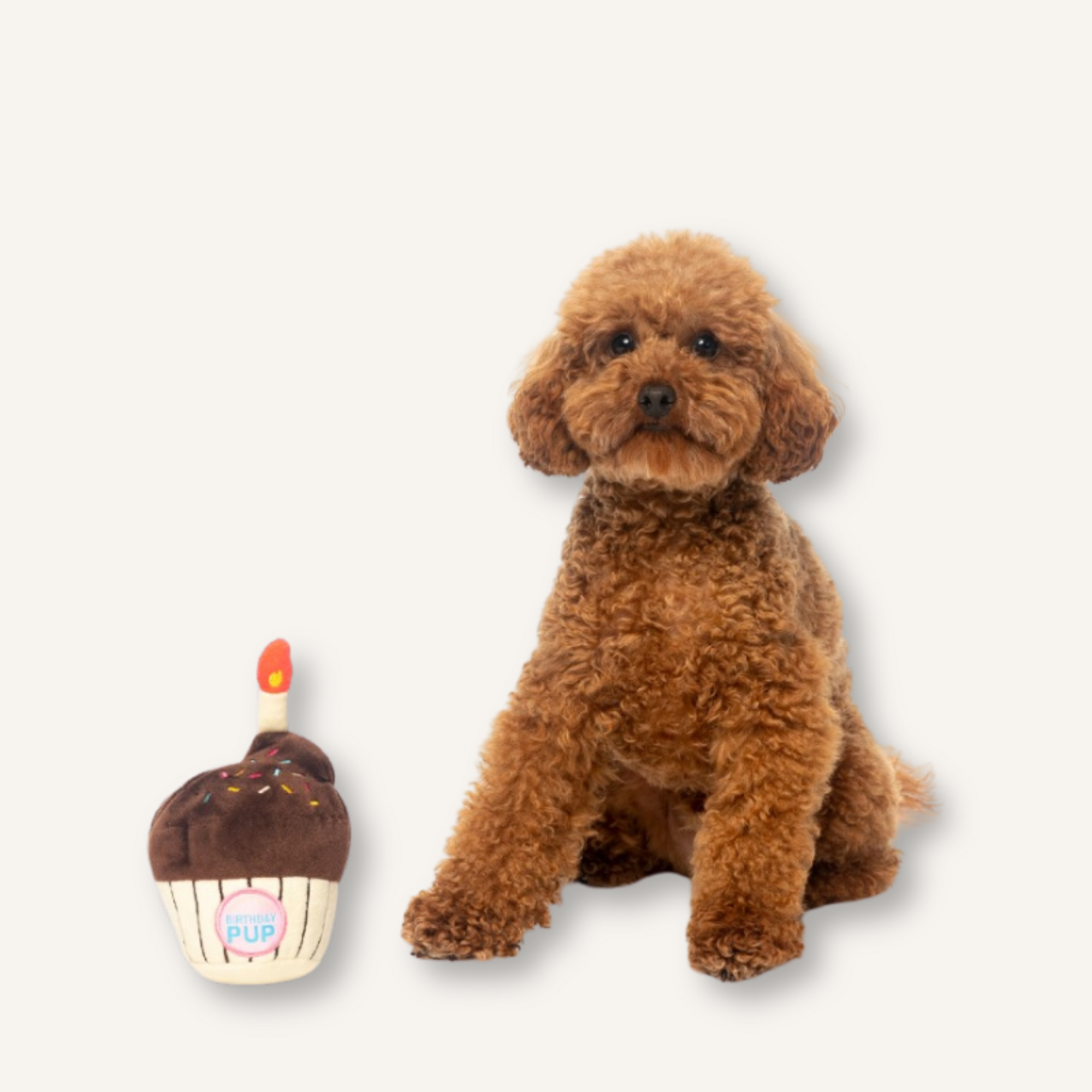 FuzzYard pluche hondenspeelgoed Cupcake