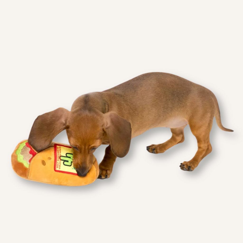 FuzzYard hondenspeelgoed burrito