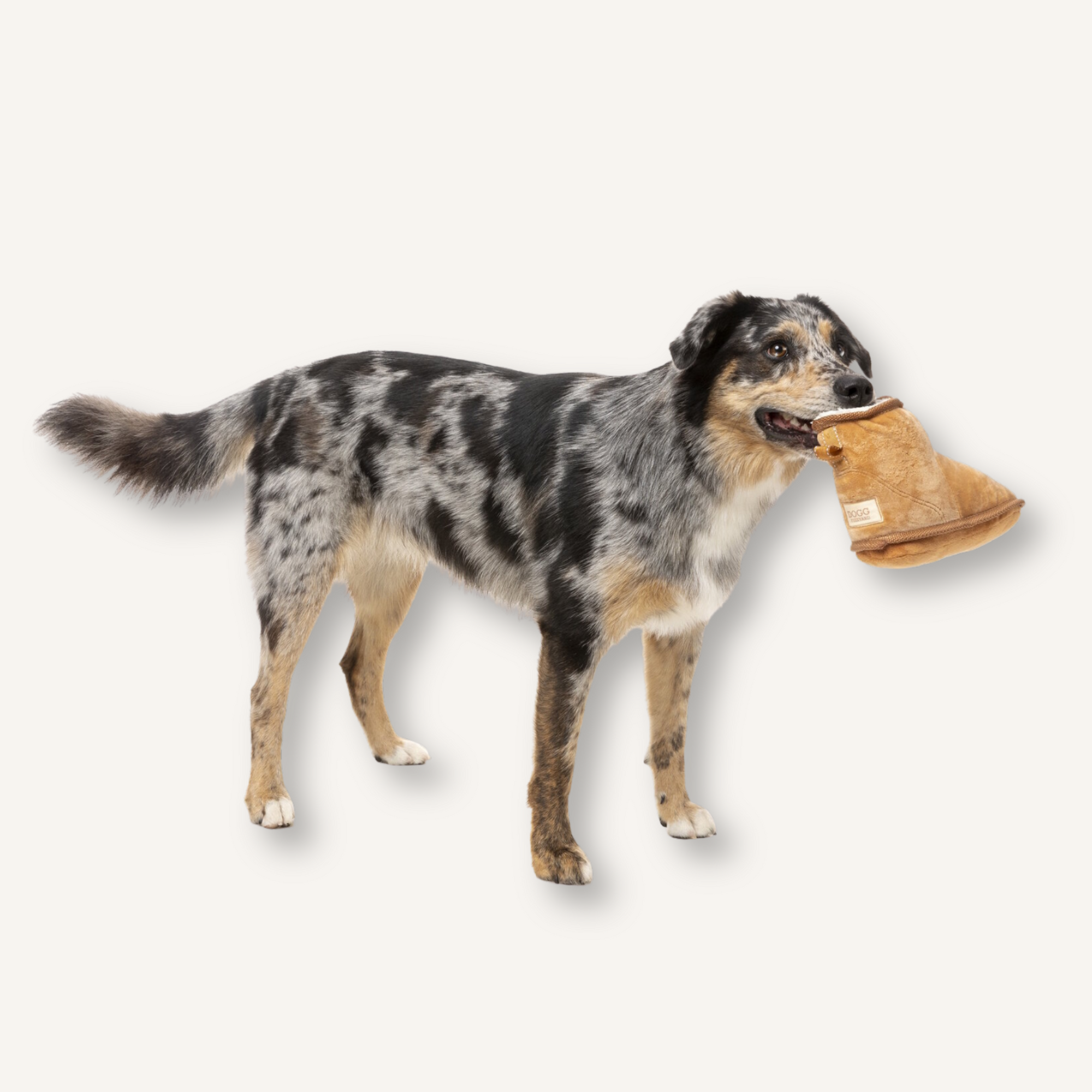 FuzzYard hondenspeelgoed Dogg Boot 