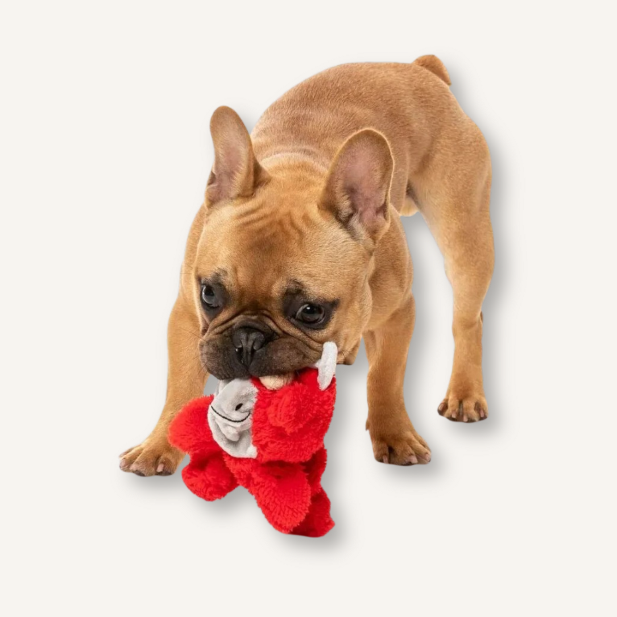 FuzzYard hondenspeelgoed Jordan The Bull