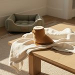 FuzzYard Plush Toy - Dogg Boot — lifestyle | The Snuffle Studio