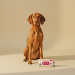 Ferribiella Wet Wipes Apple-Ginger (40 stuks) — lifestyle met hond | The Snuffle Studio