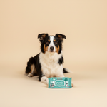 Ferribiella Wet Wipes Milleusi (40 stuks) — lifestyle met hond | The Snuffle Studio