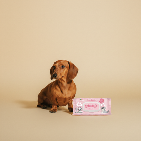 Ferribiella Wet Wipes Sensitive (40 stuks) — lifestyle met hond | The Snuffle Studio