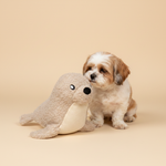 FuzzYard LIFE - Sea Life Toy - Sandstone Seal — lifestyle met hond | The Snuffle Studio