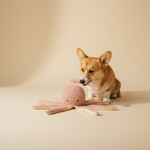 FuzzYard LIFE - Sea Life Toy - Soft Blush Octopus — lifestyle met hond | The Snuffle Studio