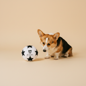 FuzzYard Soccer Ball