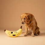 FuzzYard Plush Toy - Winky Banana — lifestyle met hond | The Snuffle Studio